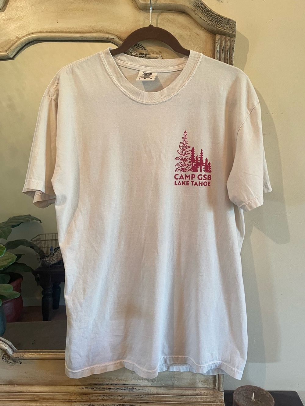 VTG Comfort Colors Lake Tahoe Tee ~ Unisex - Picture 2 of 6